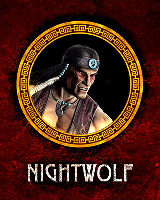 MK9 Nightwolf.jpg