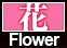 Datei:AH3 MA Flower.png