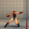Cammy Standing Far HP.jpg