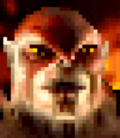 MKT kintaro.png