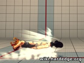 Cammy SFIV Spiral Arrow 3.jpg