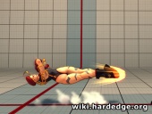 Cammy SFIV Spiral Arrow 4.jpg