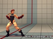 Cammy SFIV Spiral Arrow 1.jpg